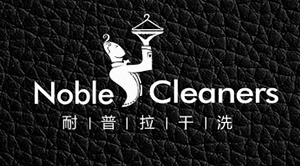 耐普拉干洗——標志設(shè)計